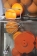 Automatische Citruspers / Sinaasappelpers met onderstel Automatische Citruspers / Sinaasappelpers met onderstel