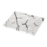 Serveerplateau Gn1/2