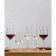 Schott Zwiesel Pure Crystal witte wijnglazen 408ml (6 stuks) Schott Zwiesel Pure Crystal witte wijnglazen 408ml (6 stuks)