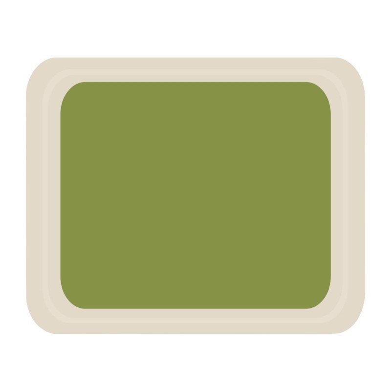 Roltex Original dienblad groen 32,5 x 26,5cm Roltex Original dienblad groen 32,5 x 26,5cm