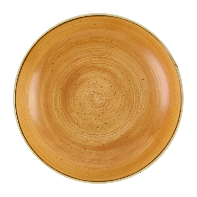 Churchill Stonecast Tangerine coupe kom 248mm (Pak van 12) Churchill Stonecast Tangerine coupe kom 248mm (Pak van 12)