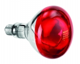 Infraroodlamp Iwl250d Infraroodlamp Iwl250d