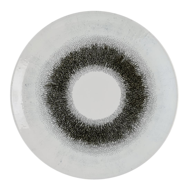 Churchill Studio Prints Fusion Black Evolve coupe bord 28.6 cm pak van 12 Churchill Studio Prints Fusion Black Evolve coupe bord 28.6 cm pak van 12