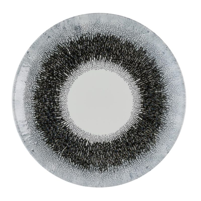 Churchill Studio Prints Fusion Black Evolve coupe bord 22 cm pak van 12 Churchill Studio Prints Fusion Black Evolve coupe bord 22 cm pak van 12